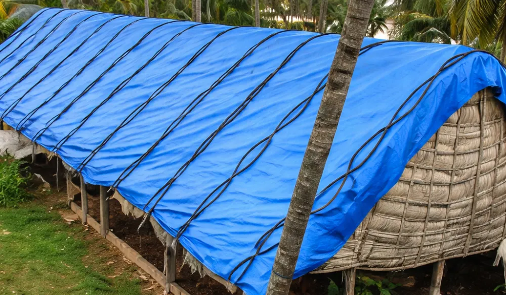 tarp